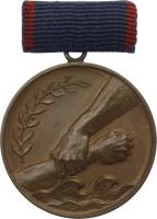 B.0137b Medaille Hochwasserkatastrophe 1954 
