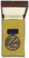 B.0137b Medaille Hochwasserkatastrophe 1954 (OE) 