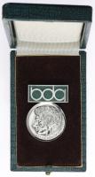 B.1352d Karl-Friedrich-Schinkel-Medaille Silber (OE) 