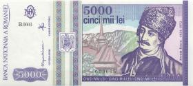 Rumänien / Romania P.104 5000 Lei 1993 (1) "000065" 