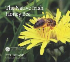 Irland Euro-KMS 2021 "Irische Biene" 