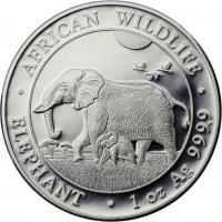 Somali Rep. Silber-Unze 2022 Elefant 