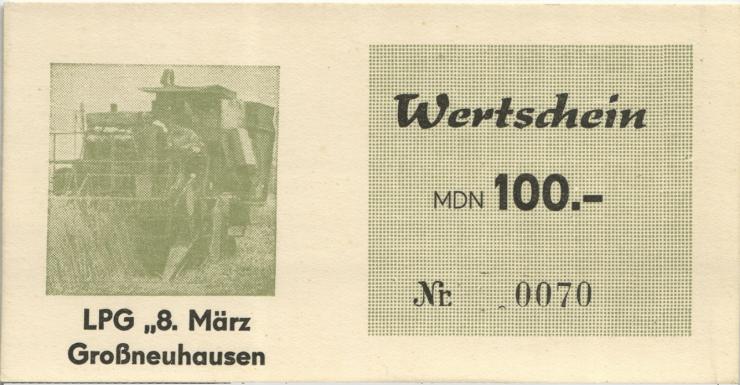 L.047 LPG Großneuhausen "8.März" 100 MDN (1) 
