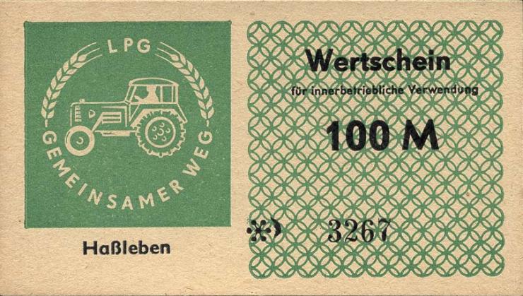 L.053.9 LPG Haßleben "Gemeinsamer Weg" 100 Mark (1) 