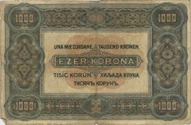 Ungarn / Hungary P.066 1000 Kronen 1920 (4) 