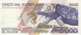 Ecuador P.126 5000 Sucres 1987 (1) 