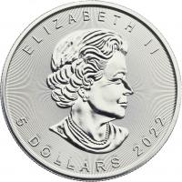 Canada Silber-Unze 2022 Maple Leaf 