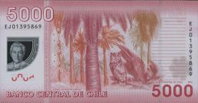 Chile P.163d 5000 Pesos 2013 Polymer (1) 